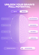 It Girl Gut Detox infographic comparing advertised cognitive benefits at day zero and day thirty.